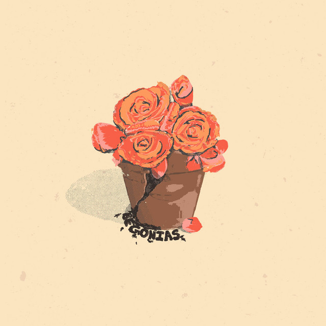 Begonias cover art