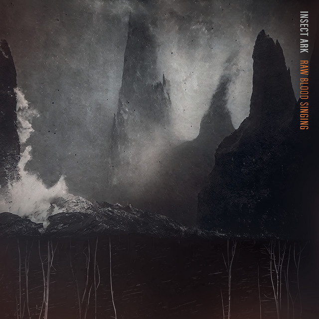 Raw Blood Singing cover art