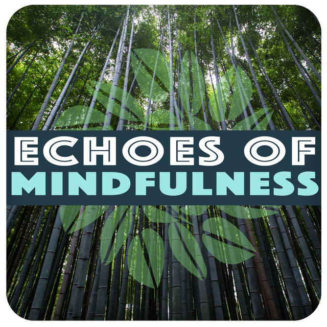 Echoes of Mindfulness cover art