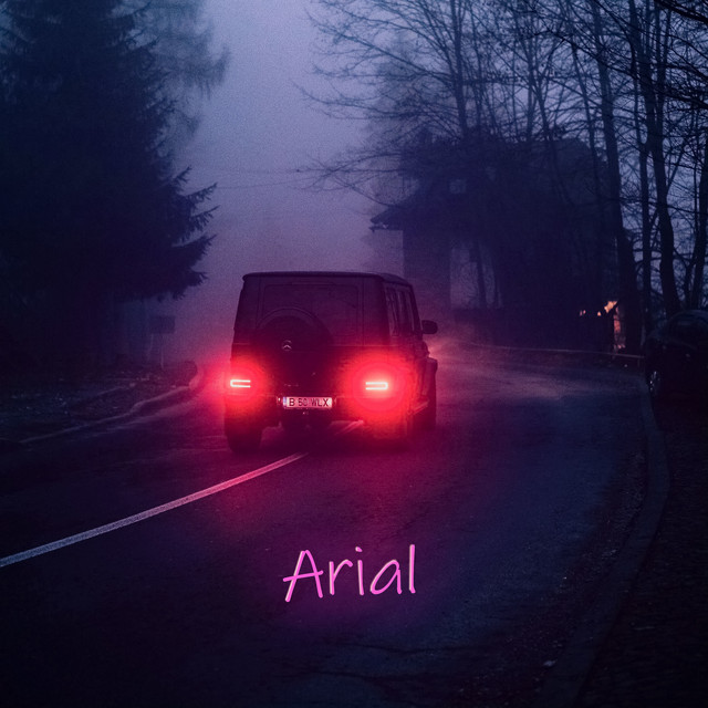 Arial cover art