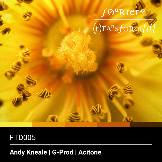 Andy Kneale