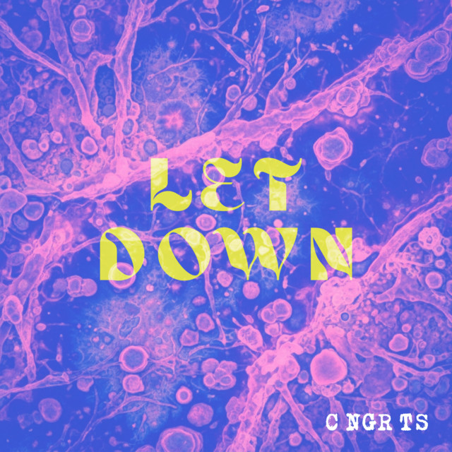 Let Down cover