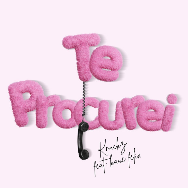 Te Procurei