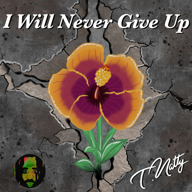 I Will Never Give Up