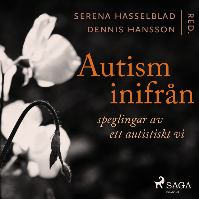 Dennis Hansson Photo