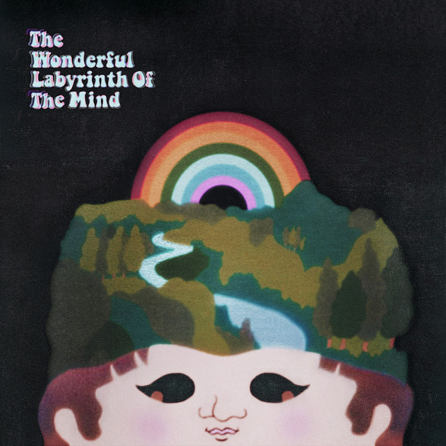 The Wonderful Labyrinth of the Mind cover art