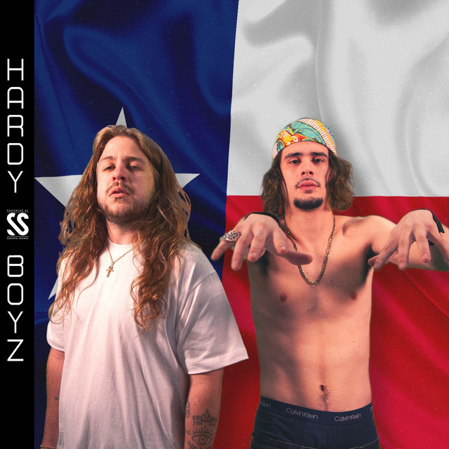Hardy Boyz cover art