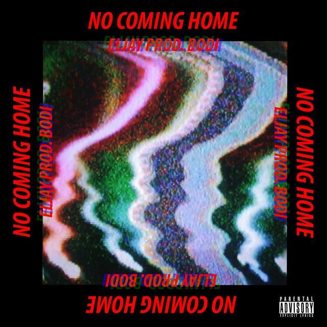 No Coming Home
