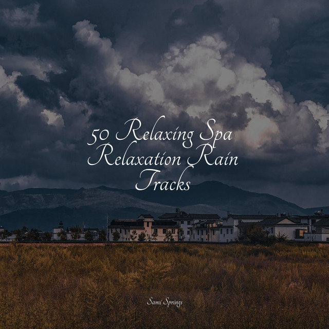 50 Relaxing Spa Relaxation Rain Tracks - Album by Egyptian Meditation ...