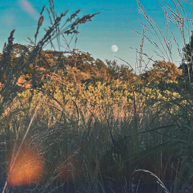 drifting away (slowed)