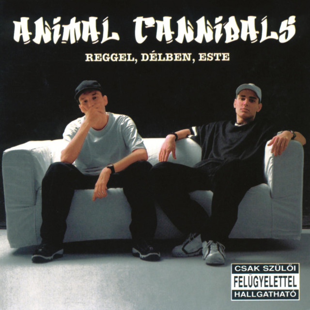 Hazafelé az út veszélyes cover art