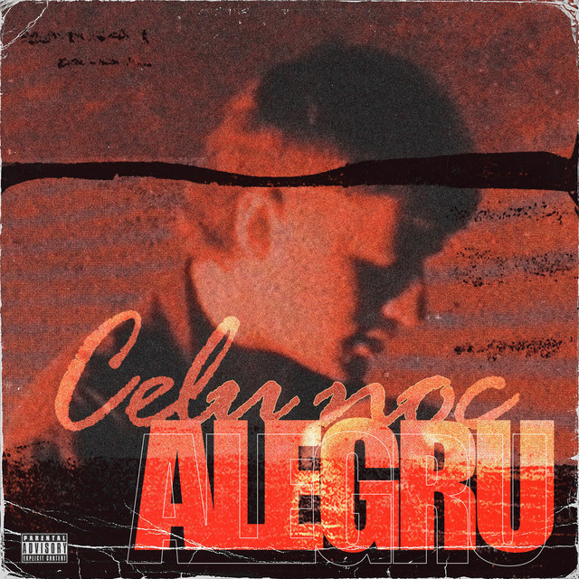 Celu noc cover art