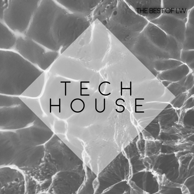 Best of LW Tech House IV cover art