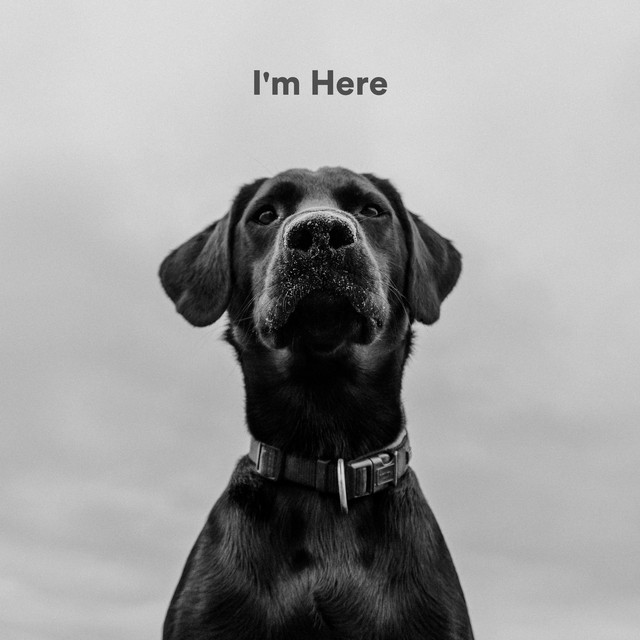 I'm Here cover art