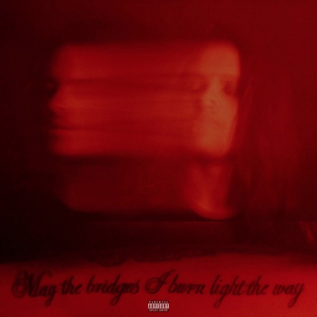 May the Bridges I Burn Light the Way cover art