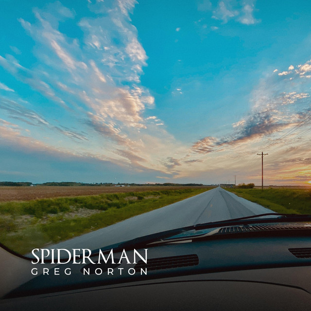 Spider Man cover