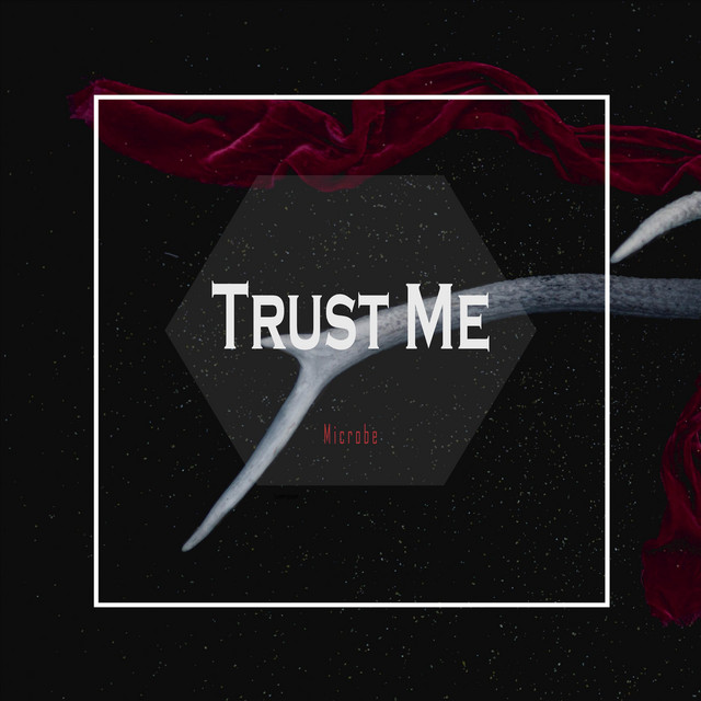 Trust Me cover