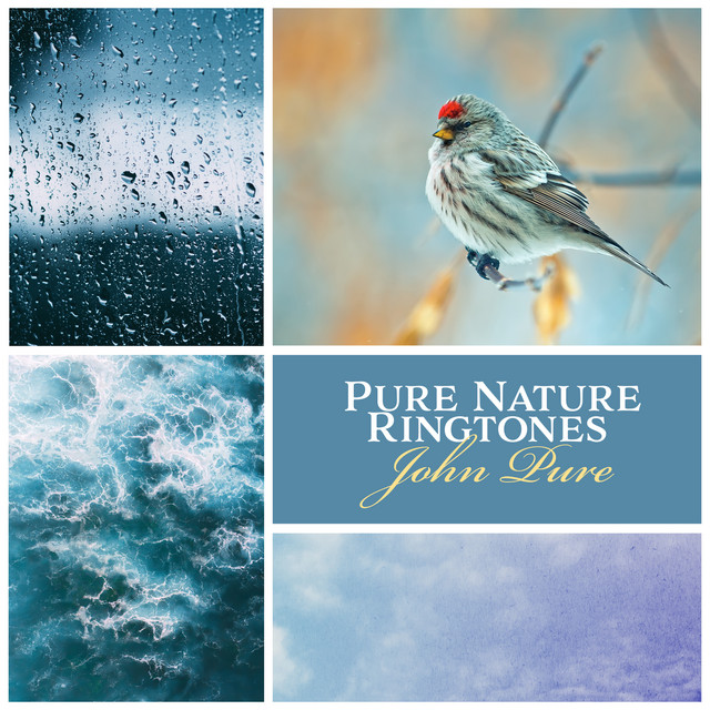 Pure Nature Ringtones: Morning Alarm Clock (Rain, Waves, Birds) cover art
