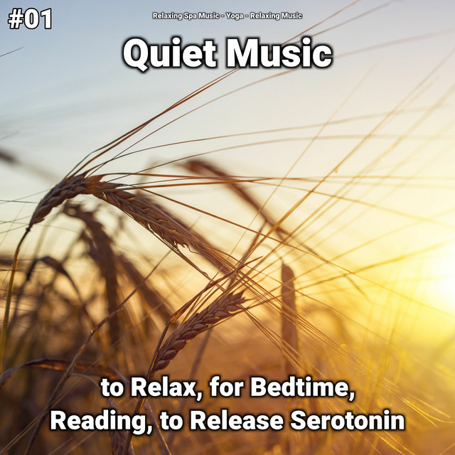 #01 Quiet Music to Relax, for Bedtime, Reading, to Release Serotonin cover art