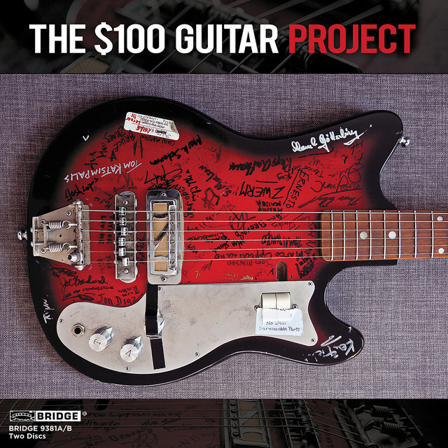 $100 Guitar Project cover