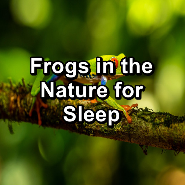 Frogs in the Nature for Sleep cover art