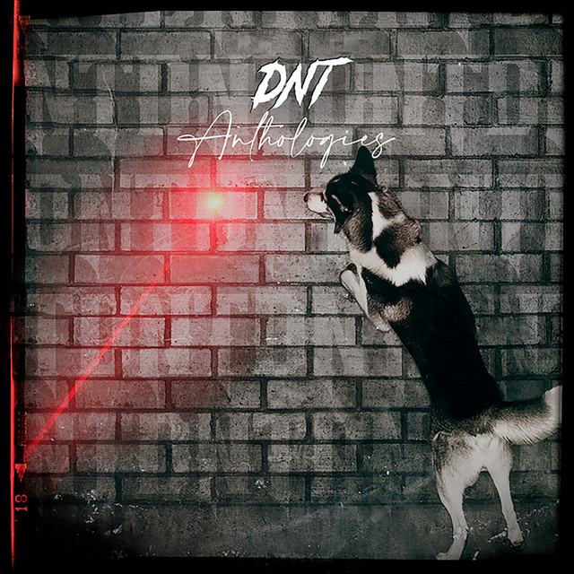 Dnt: Anthologies cover art