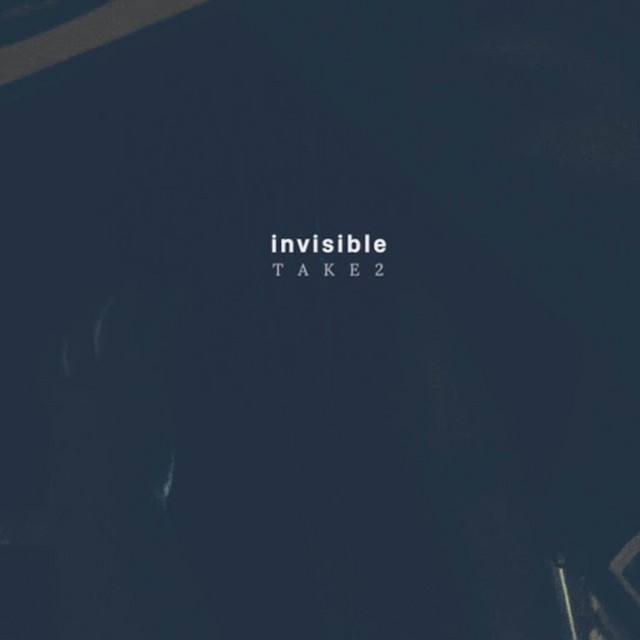 invisible cover art