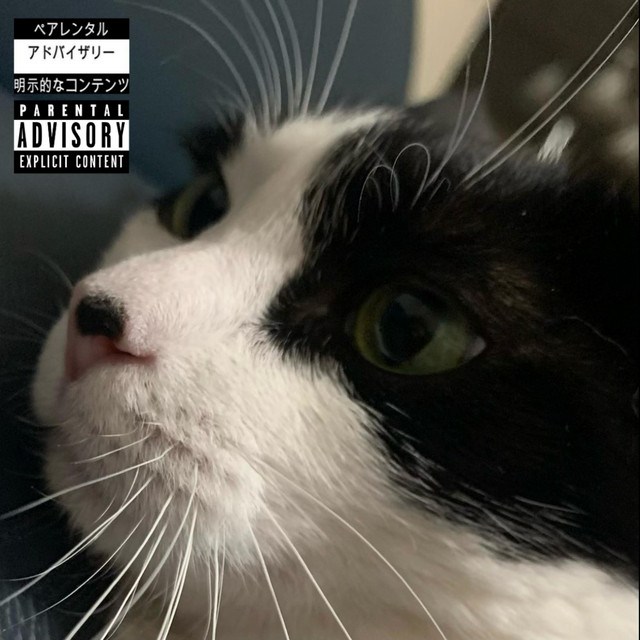 SENDEMTOHELL! cover art