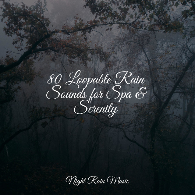 80 Loopable Rain Sounds for Spa & Serenity - Album by White Noise Sound ...
