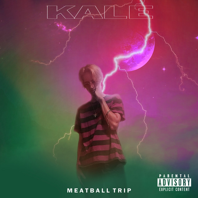 Meatball Trip cover art