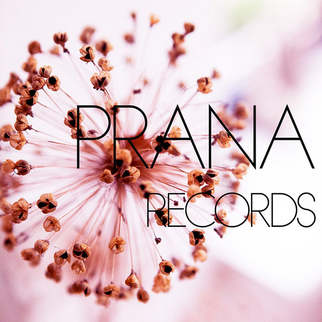 Music Is Love and Unity (Alankara) cover art