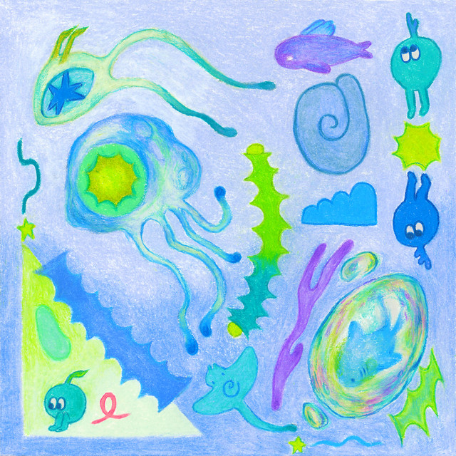 Tide Pool Bath cover art