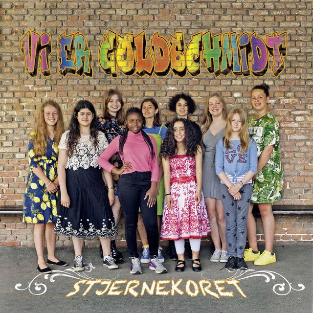 Vi er Goldschmidt cover art