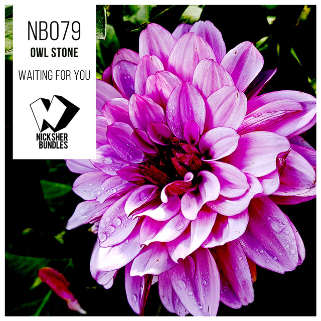 Waiting for You - Original Mix