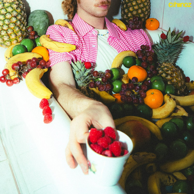 picnic cover art
