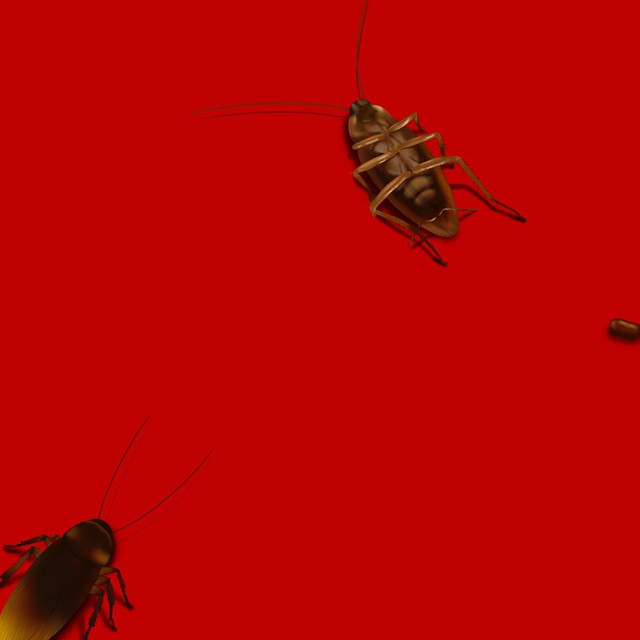 cockroach cover art