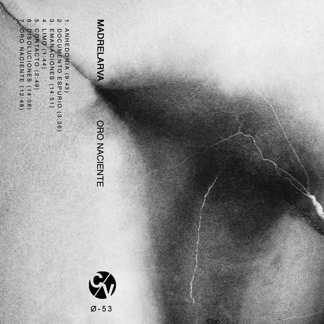 Oro Naciente cover art