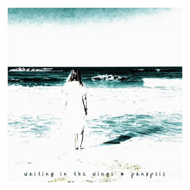 Waiting In The Wings (single)
