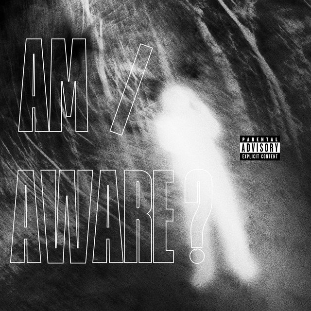 AM I AWARE ? cover art