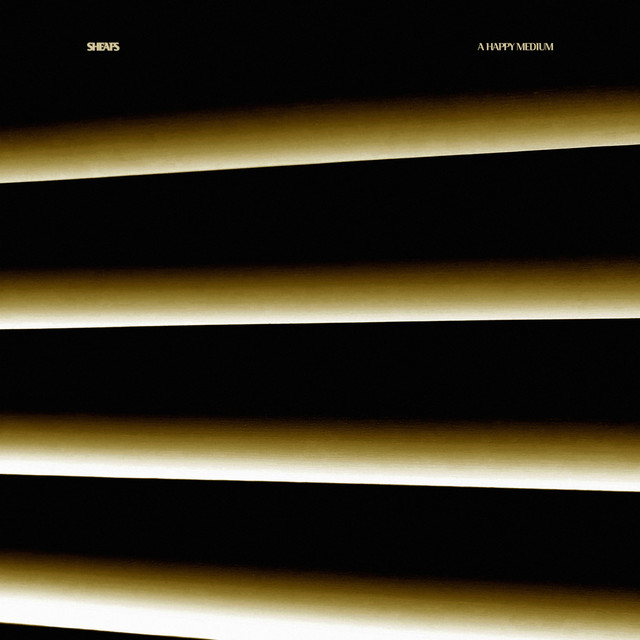 A Happy Medium cover art