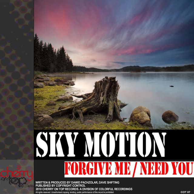 Forgive Me / Need You cover
