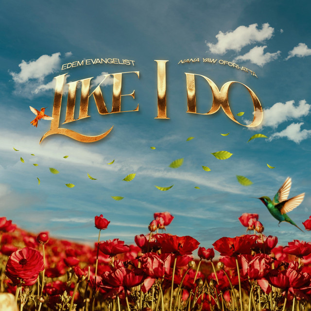 Artwork for Like I Do