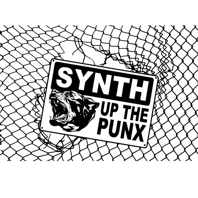 Synth up the Punx cover art