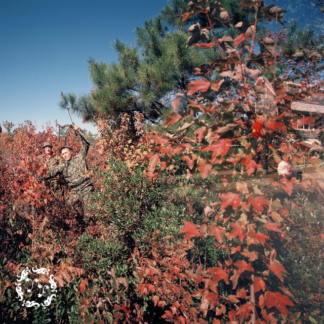 Separation cover art