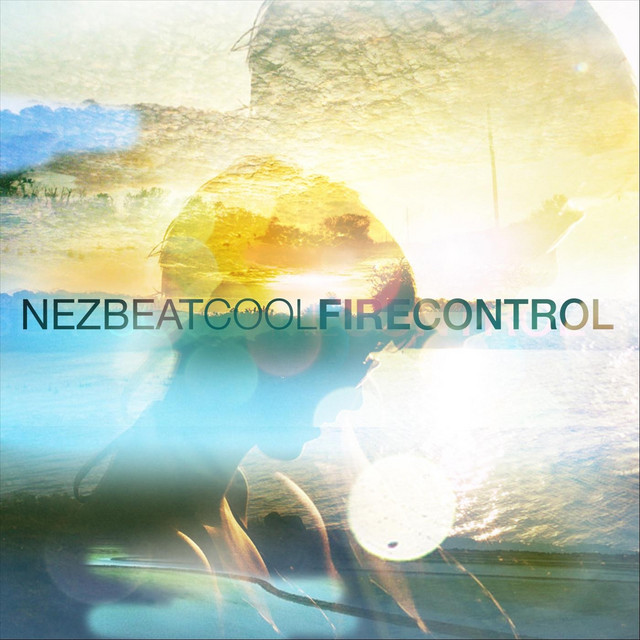Cool Fire Control cover art