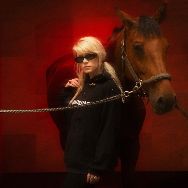 wild horses