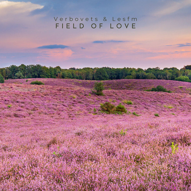 Обкладинка: Field of Love — Lesfm
