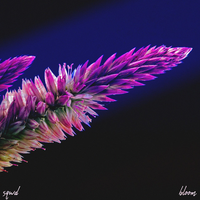 bloom cover art