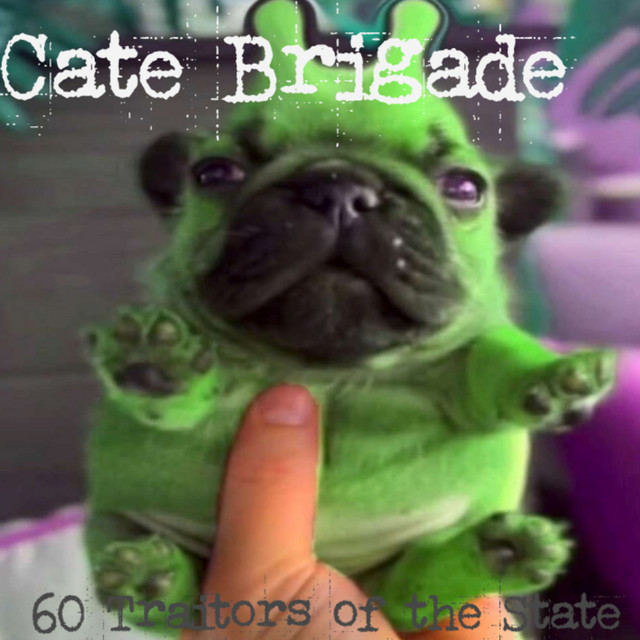 Cat Brigade Photo