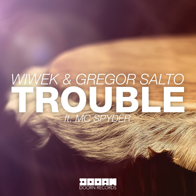Trouble (Feat. MC Spyder) - Original Mix